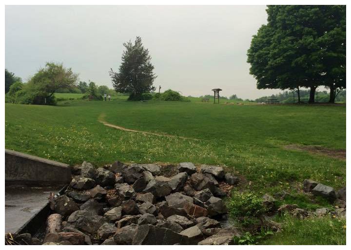 parks pond dam with view of fields