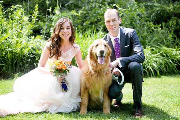 wedding couple with their golden retriever at the wedding