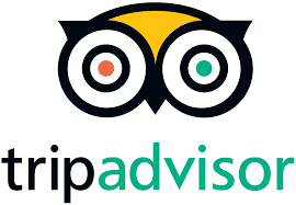 owl with trip advisor text